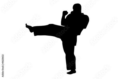 Karate kick