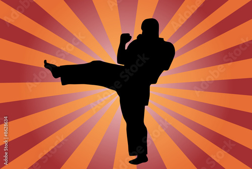 Karate kick