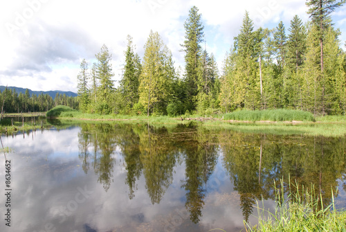Trees reflecting in mountain lake