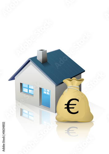 Budget immobilier en euro (reflet)