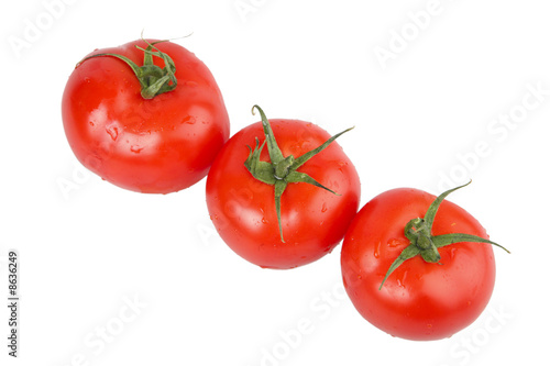 red tomatoes © Mikhail Basov