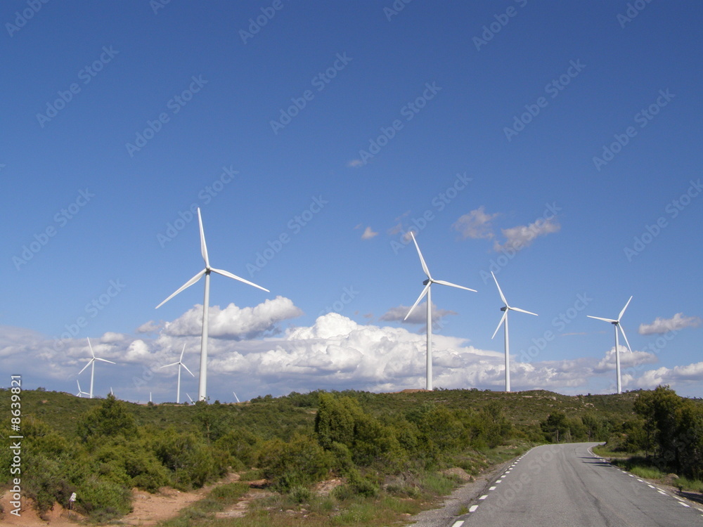 Molinos de Viento Molinos de Viento
