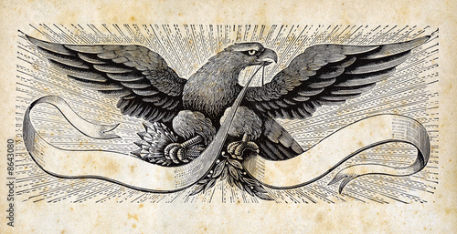 Fotografie STATI UNITI D'AMERICA - AQUILA REALE IL SIMBOLO