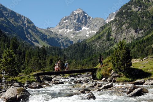 фотографія Torrent de montagne