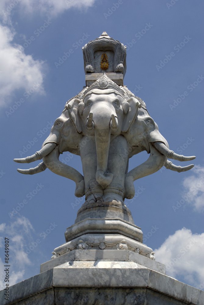 Obraz premium White elephant