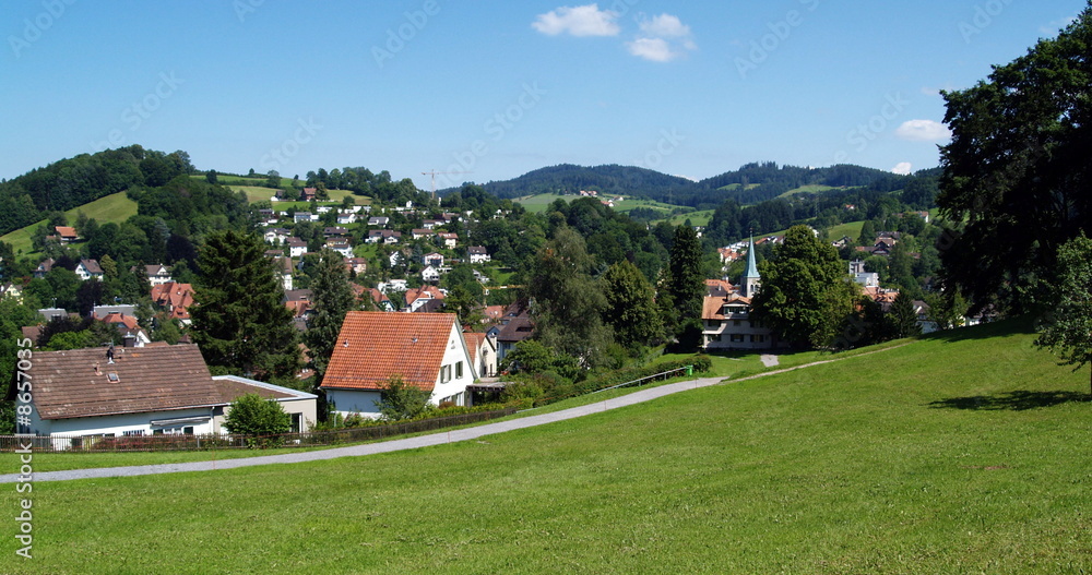 paysage...saint -gall