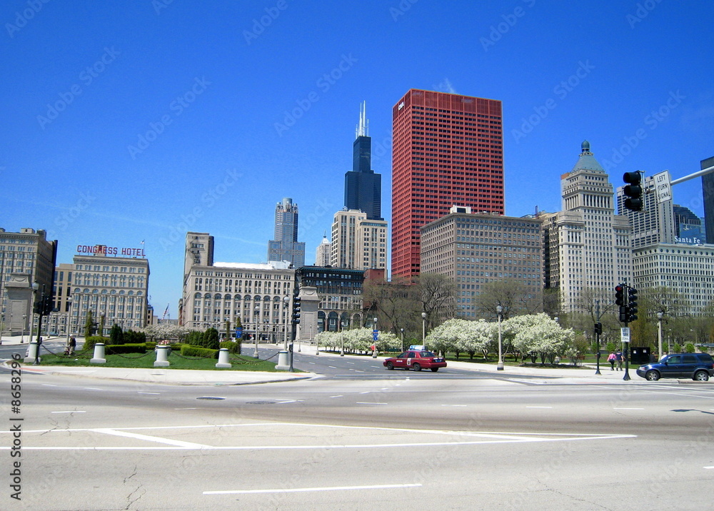 Chicago USA Skyline