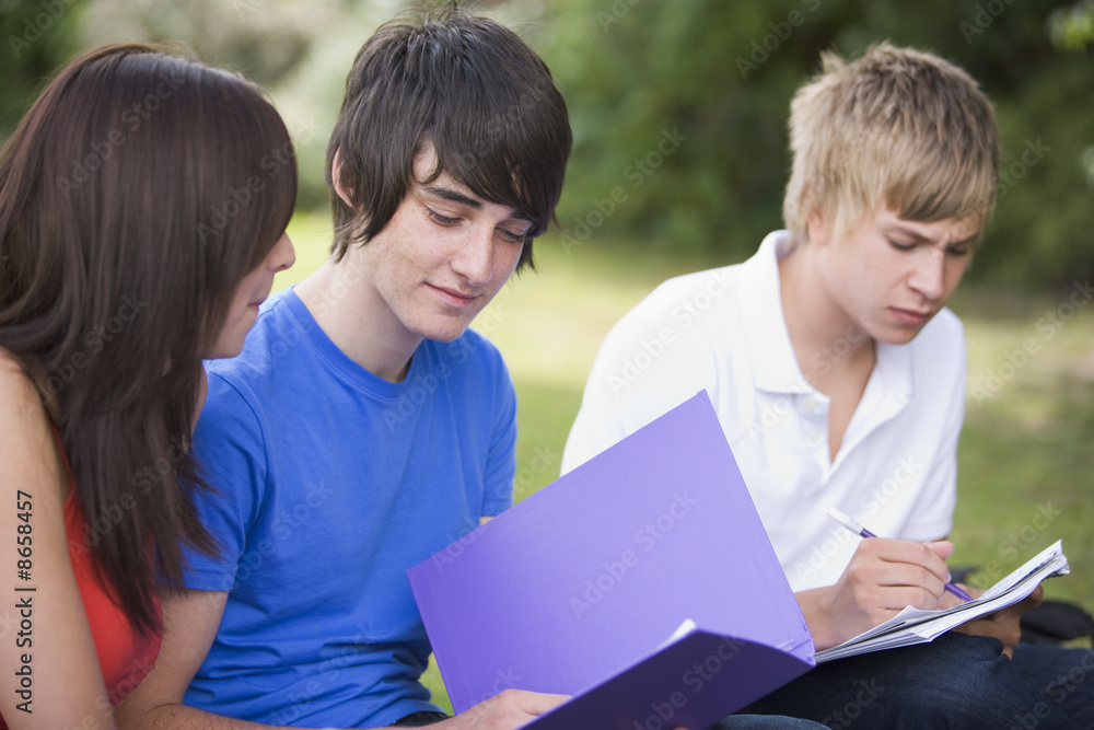 College students studying outside College students studying outside