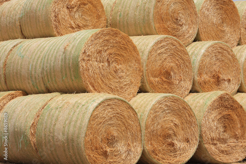 Stacked Round Bales of Hay