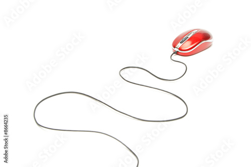computer mouse