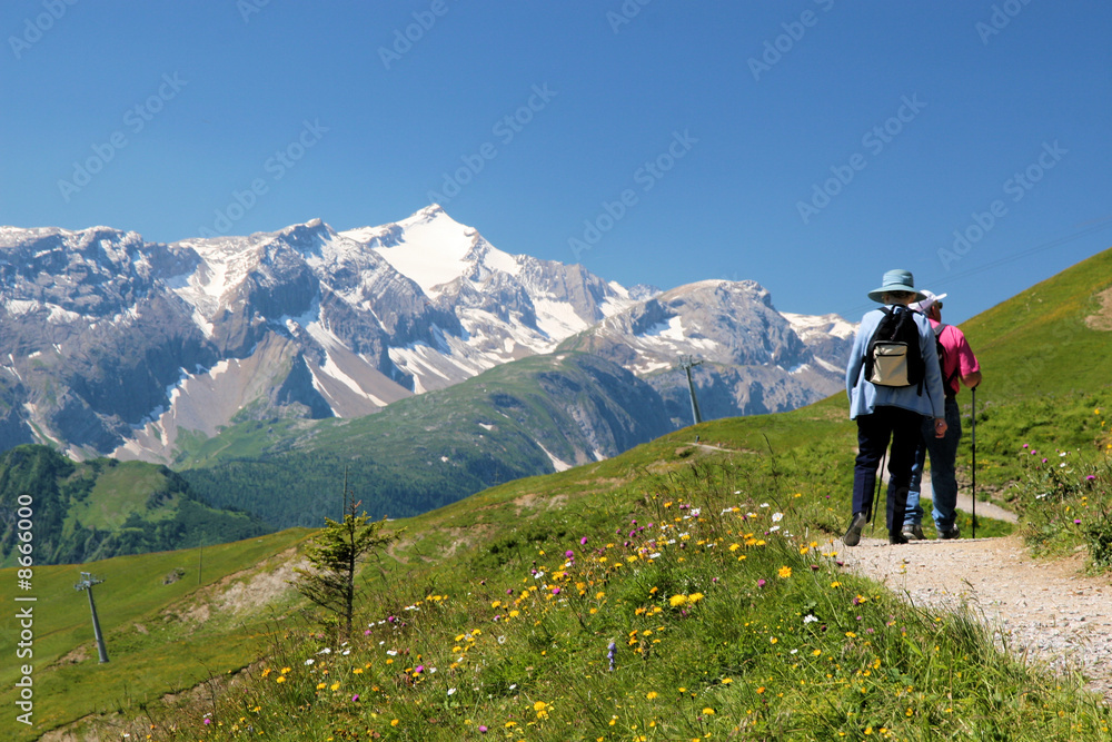 personnes agées en randonnée dans les alpes