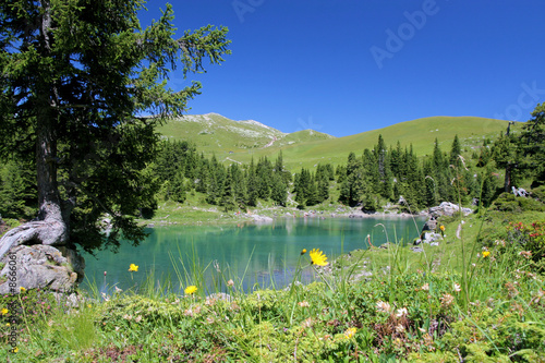 lac dans les alpes suisses