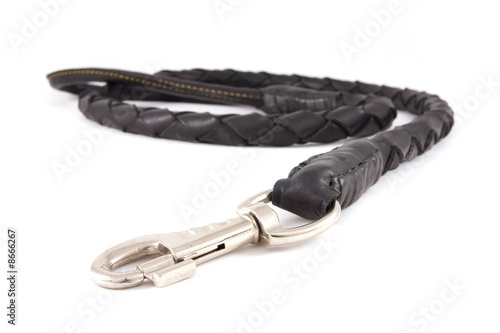 Dog's leash isolated on white