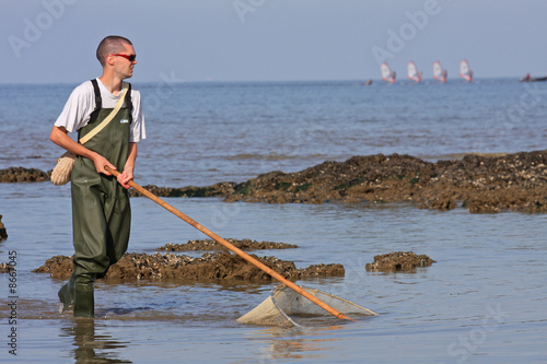 Pêcheur à la crevette