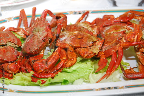 necoras