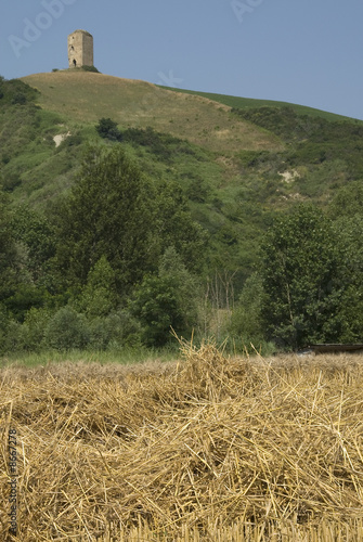 Montefeltro 1