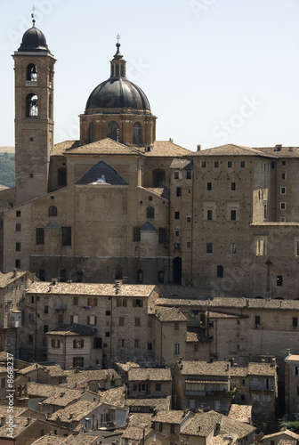Urbino 4