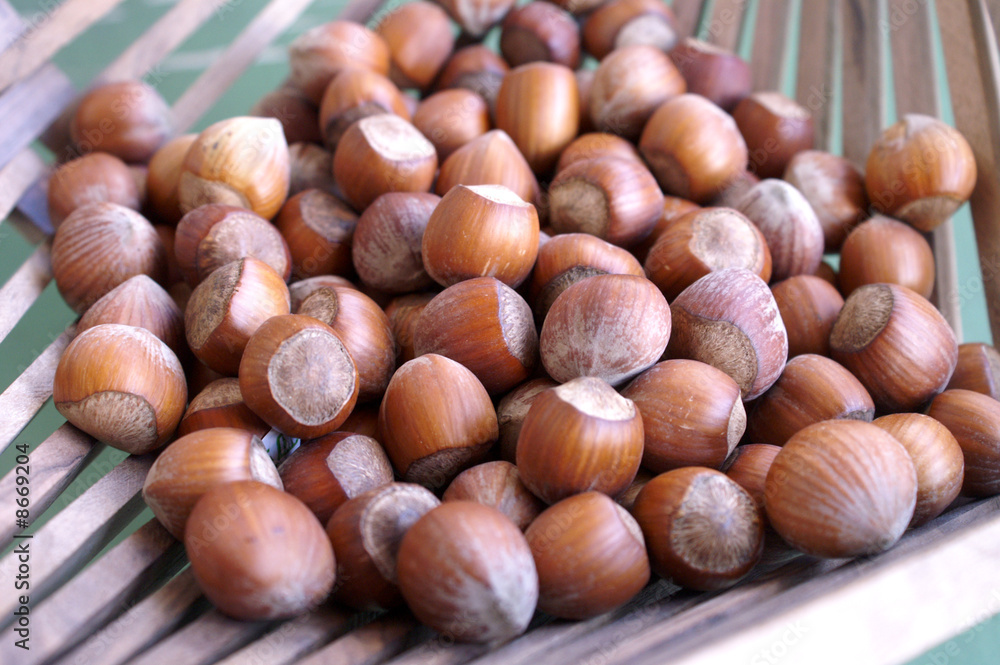 Hazelnuts 2 Hazelnuts 2