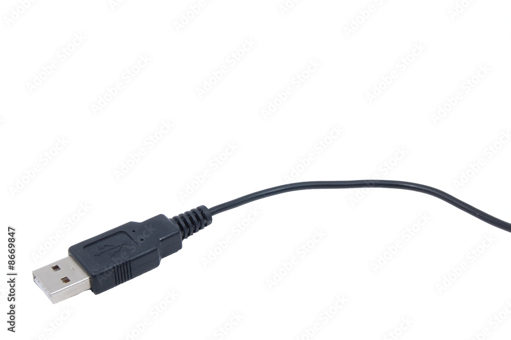 USB plug isolated on white backround USB plug isolated on white backround