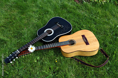 12-string and 6-string guitars on a green lawn after a concert