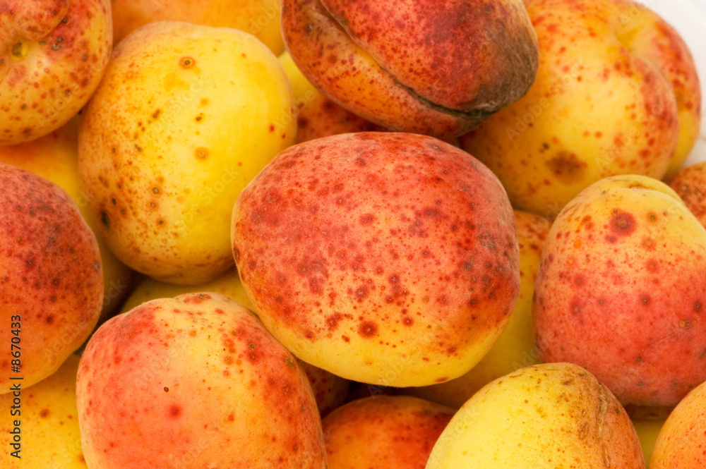 Many colourful red apricots at the backhround Many colourful red apricots at the backhround