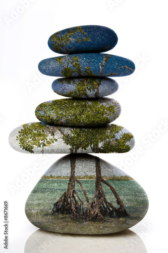 Canvas Print glaet kern détente esprit zen méditation ile rêve tropique