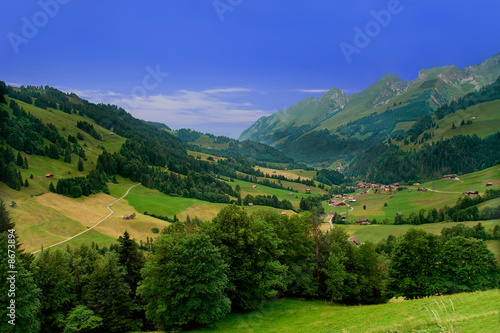 Near Gruyeres,  Canton of Fribourg, Switzerland