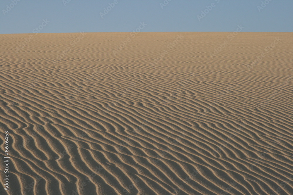 Obraz premium couchant sur la dune