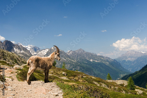 Capricorn in the French mountains