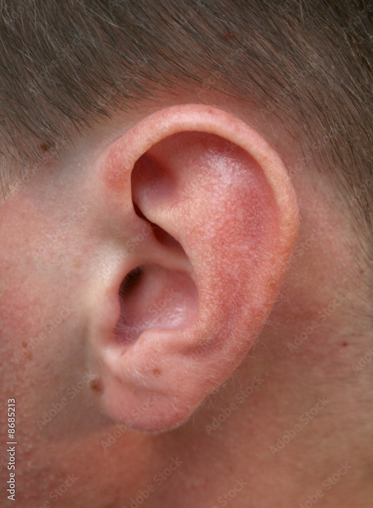 ear, hear ear, hear