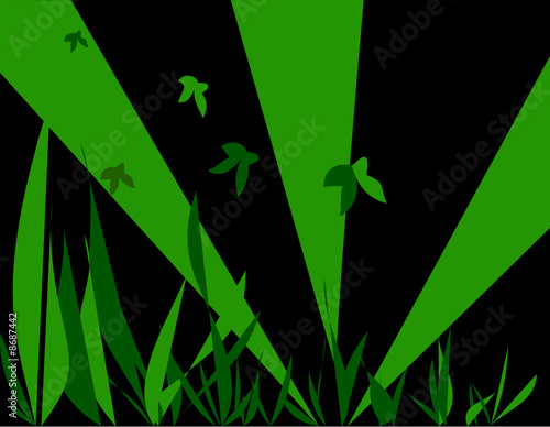 The Butterflies in herb.