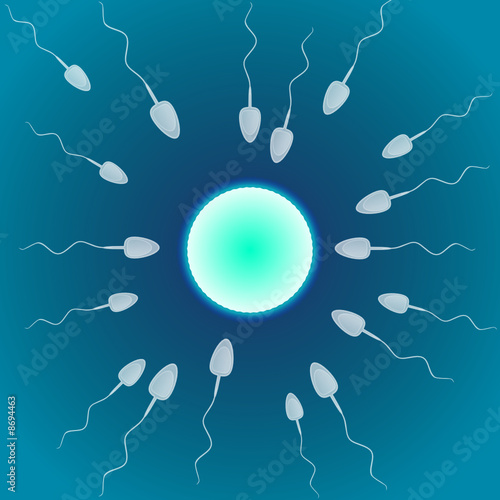 sperm & egg