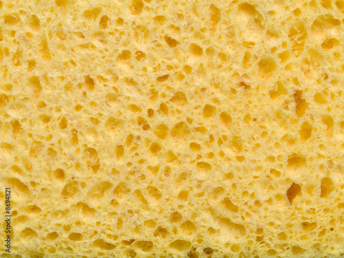 Sponge background