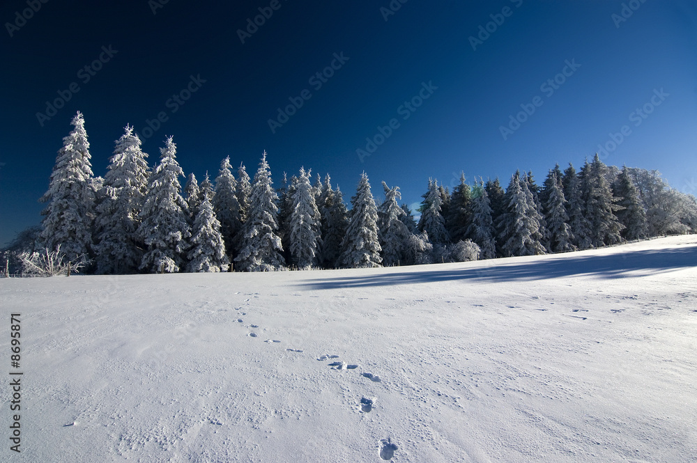 Winter 13 Winter 13