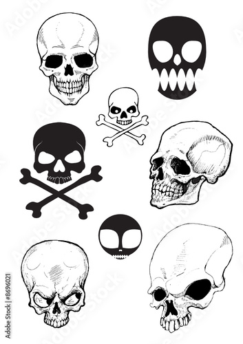 Skull