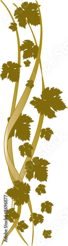 foglie autunnali