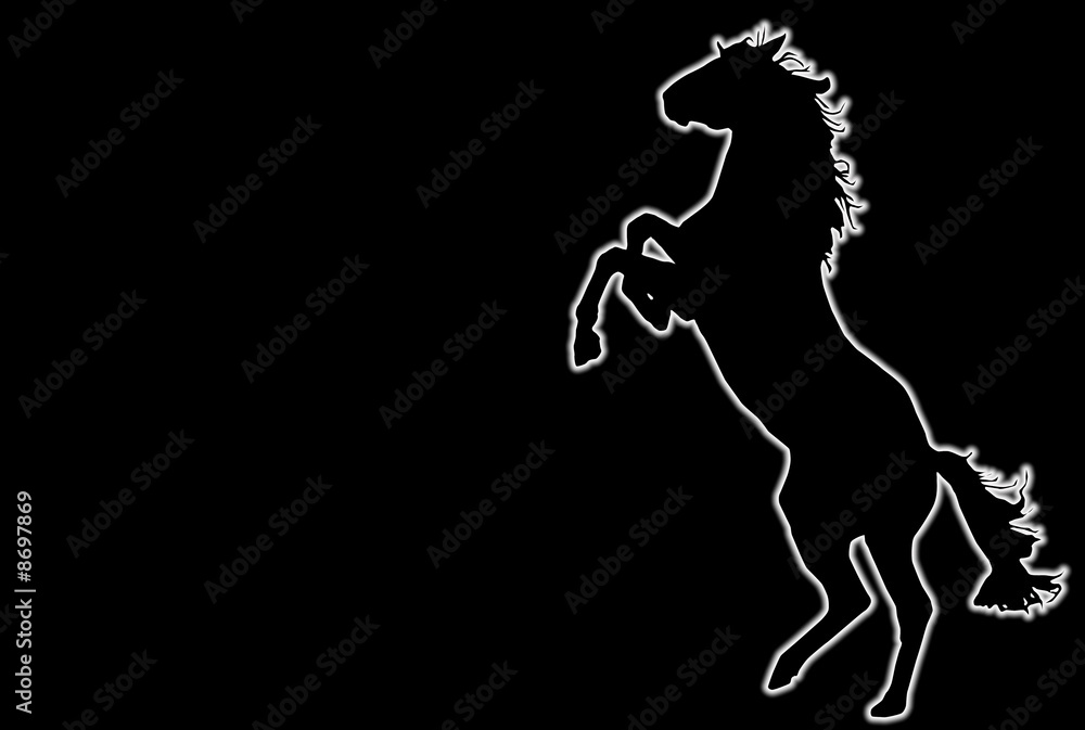 Fototapeta premium Cavallo Rampante