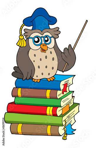 Owl teacher and books