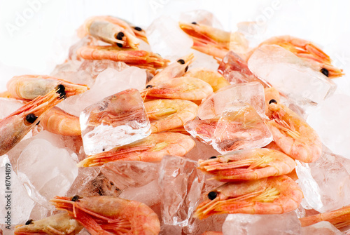 Shrimp