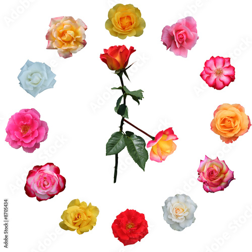 Clock face made of roses photo