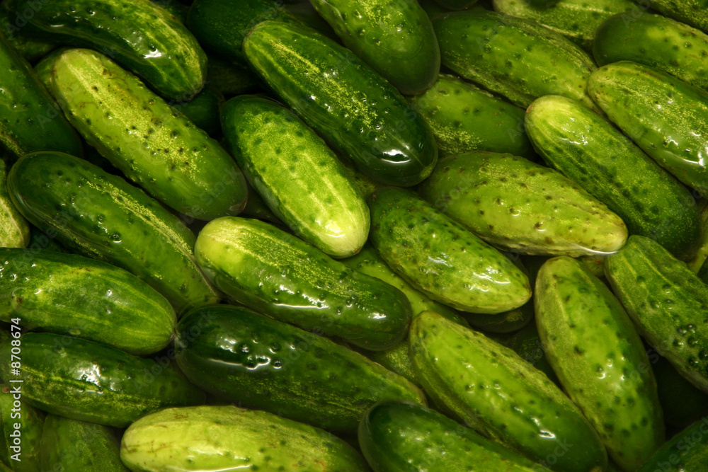 Cucumbers Cucumbers