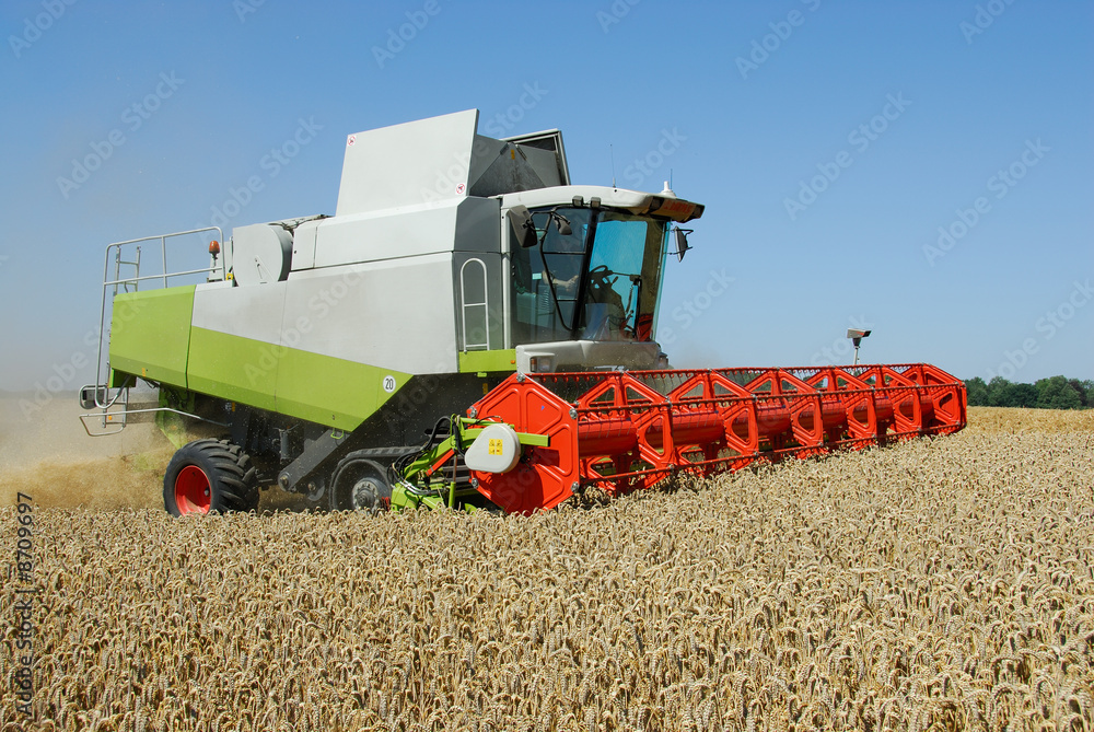 Fototapeta premium Mähdrescher im Einsatz 072