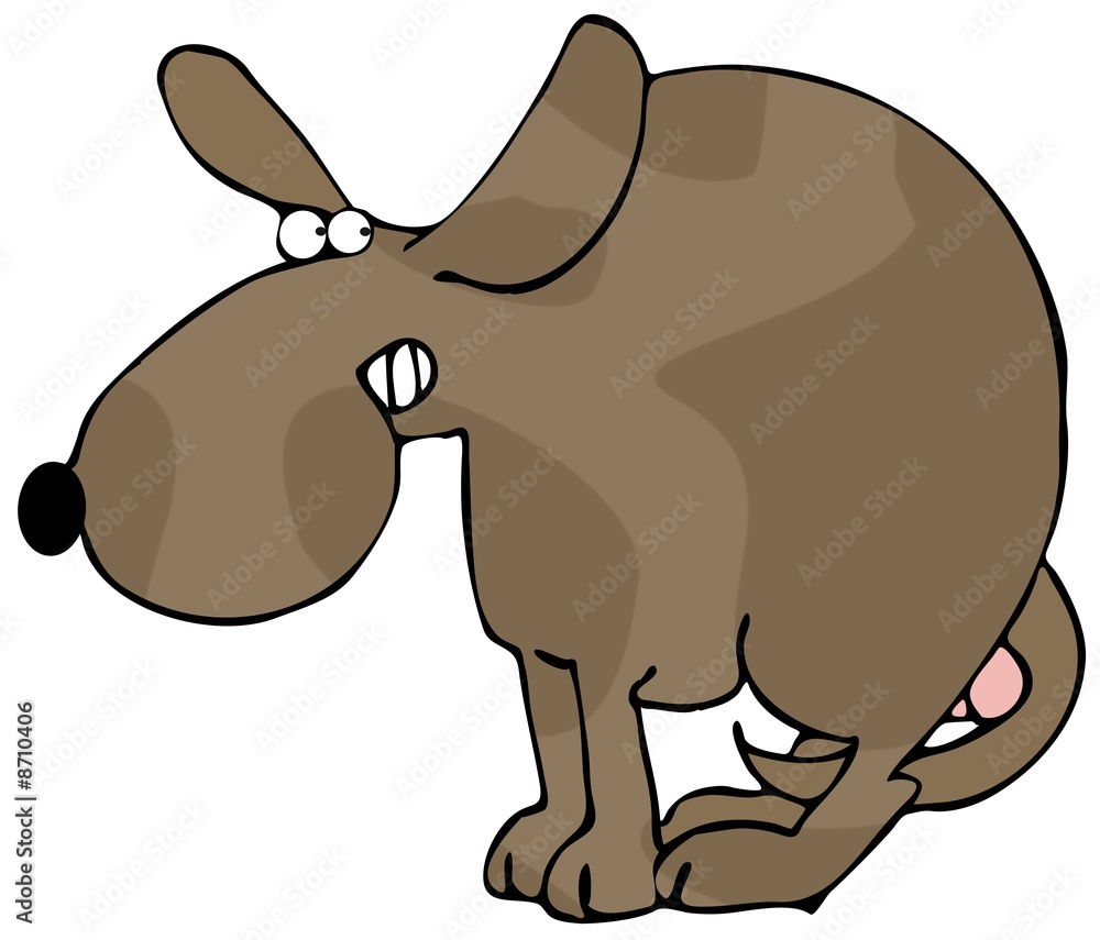 Obraz premium Scared Dog