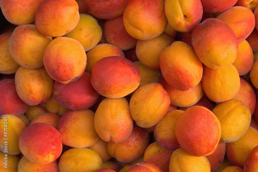 Fresh Apricots in the Market