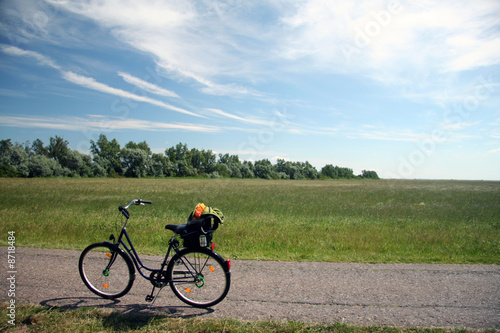 Internationaler Ostseeradwanderweg  nahe Prerow