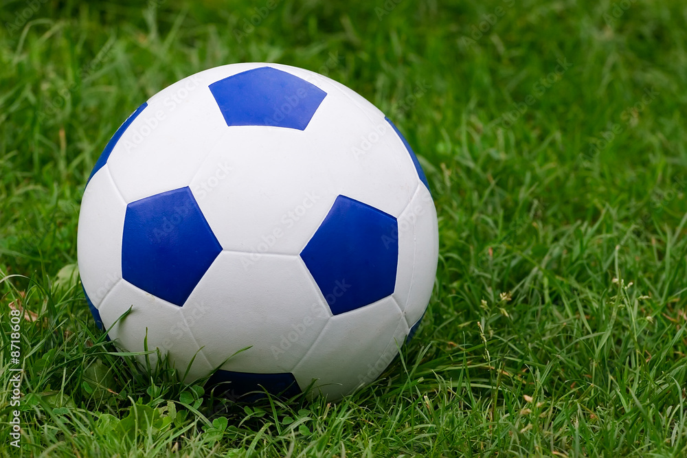 Fototapeta premium Soccer ball