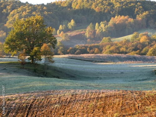 Принти на полотні Beautiful early morning countryside landscape in Bosnia
