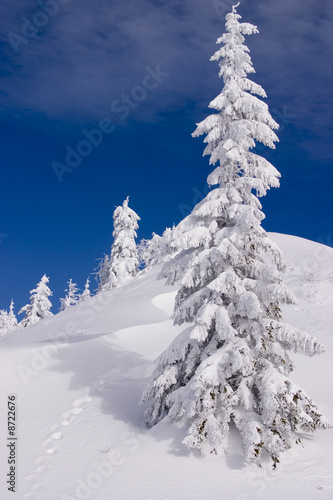 Snowy landscape on Jahorina mountain near Sarajevo, Bosnia and H © evron.info