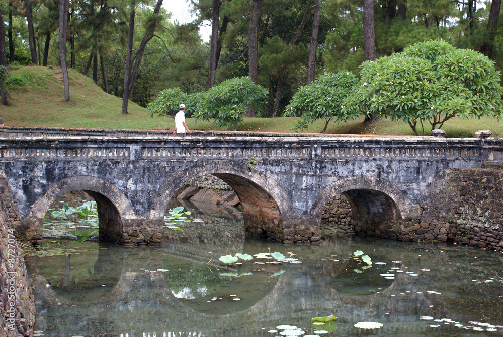 Fototapeta premium Bridge