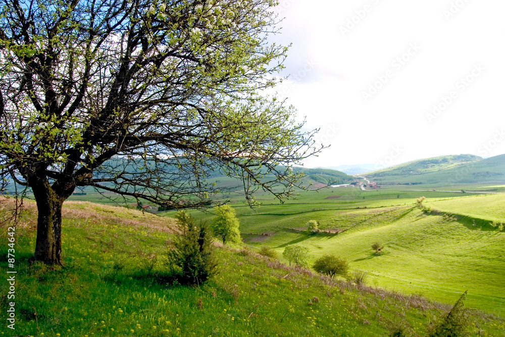 Spring landscape with pieces of cultivated farmland and trees Spring landscape with pieces of cultivated farmland and trees